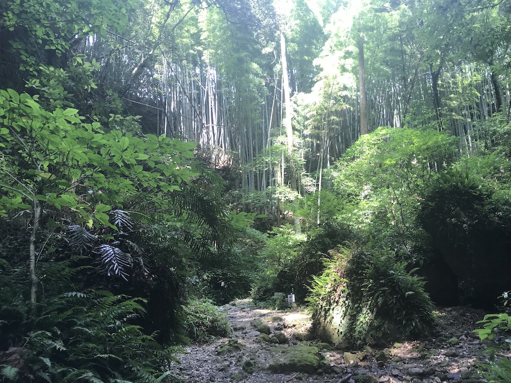 仕事と禅 一点を見すぎると苦しみになる 均等に感じる心を育てましょう